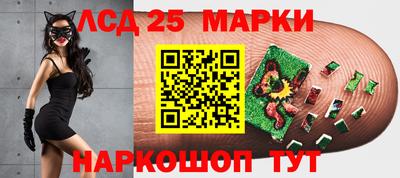 бошки Тверь
