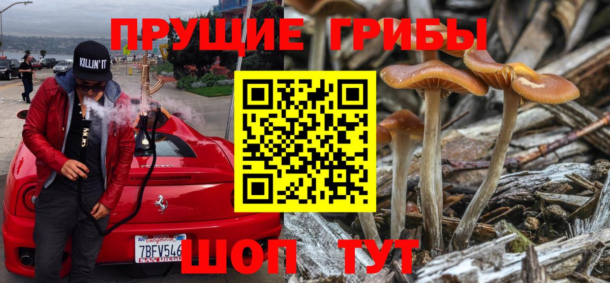 Новоуральск  Псилоцибиновые грибы Psilocybine cubensis  Вход с VPN  Псилоцибиновые грибы мухоморы 