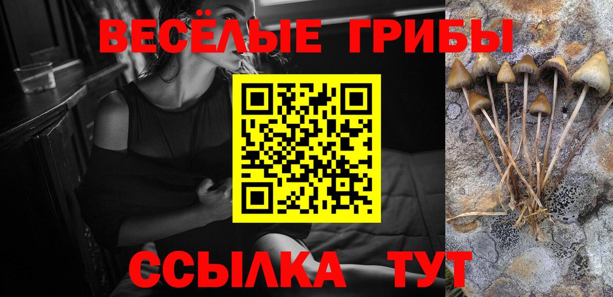 Галлюциногенные грибы GOLDEN TEACHER Новоуральск